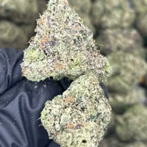 WONKA RUNTZ (WAKE N BAKE RESERVE) WONKA RUNTZ (WAKE N BAKE RESERVE)