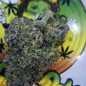 EXOTIC - RUNTZ PUNCH