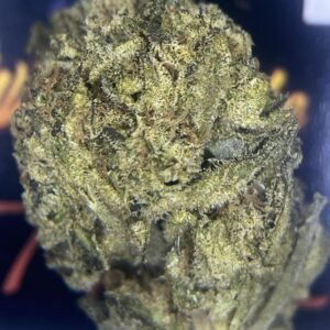 TOPSHELF - TRAP FUEL