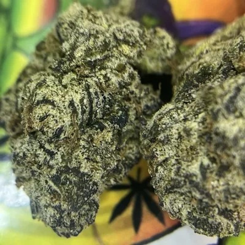 BLACK CHERRY GELATO (RESERVE)