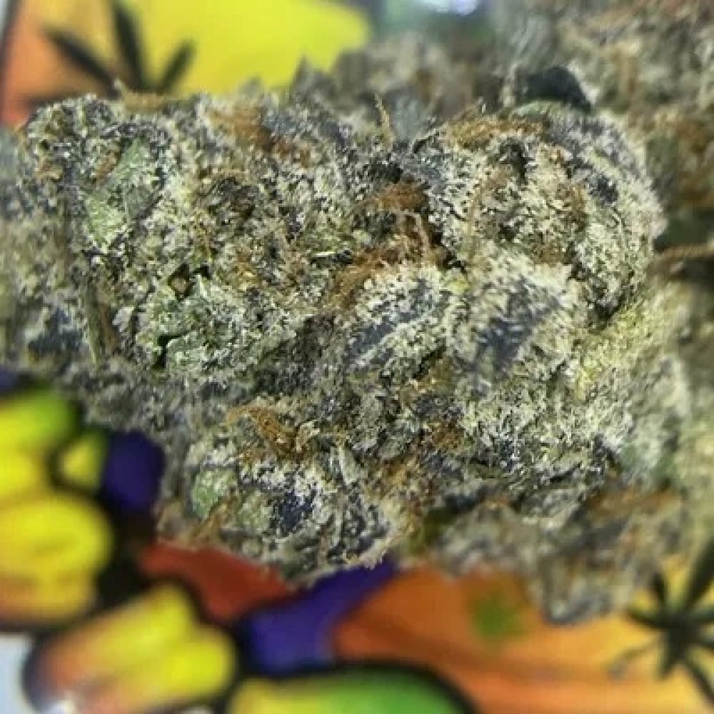 BLACK CHERRY SORBET (RESERVE)