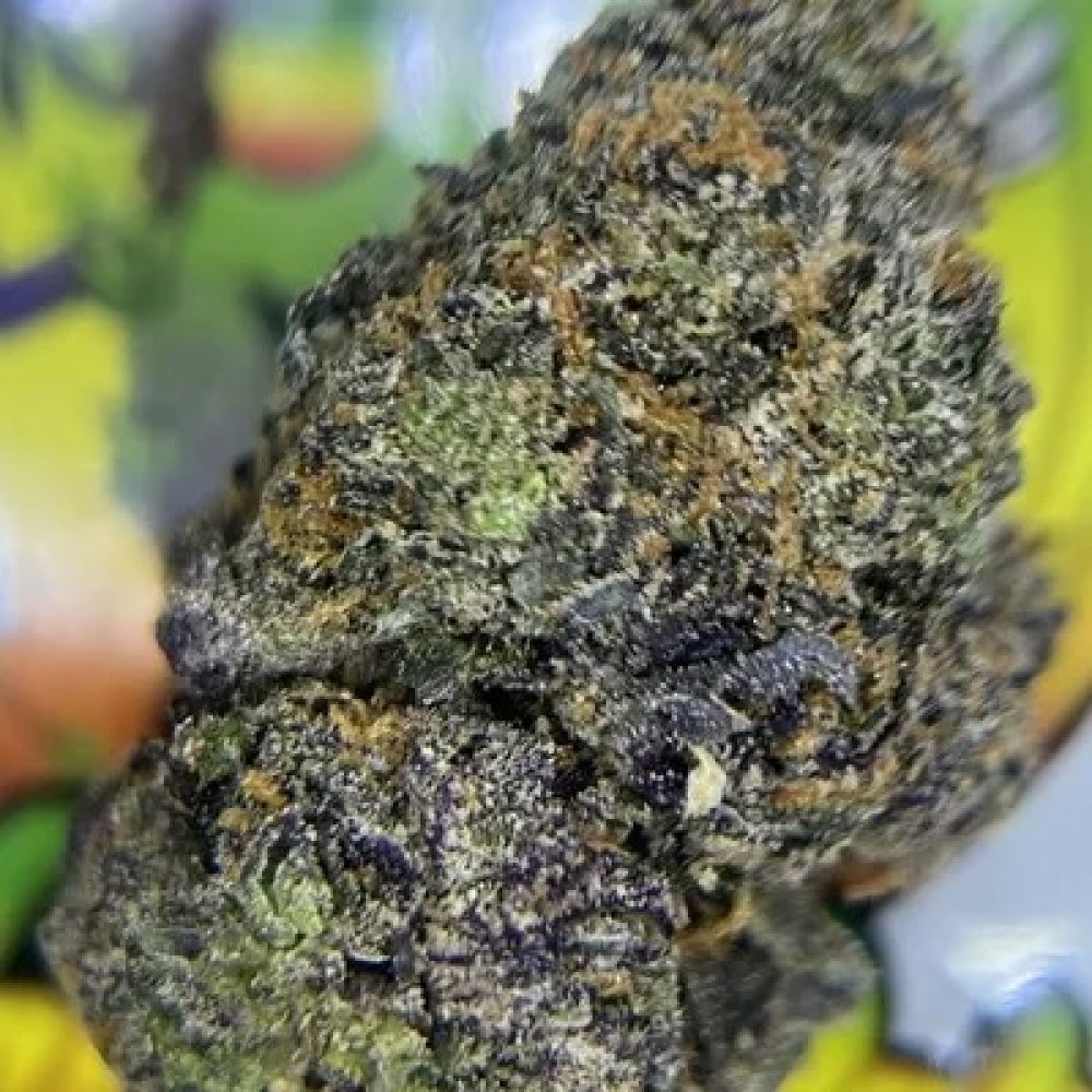 EXOTIC- BANANA RUNTZ