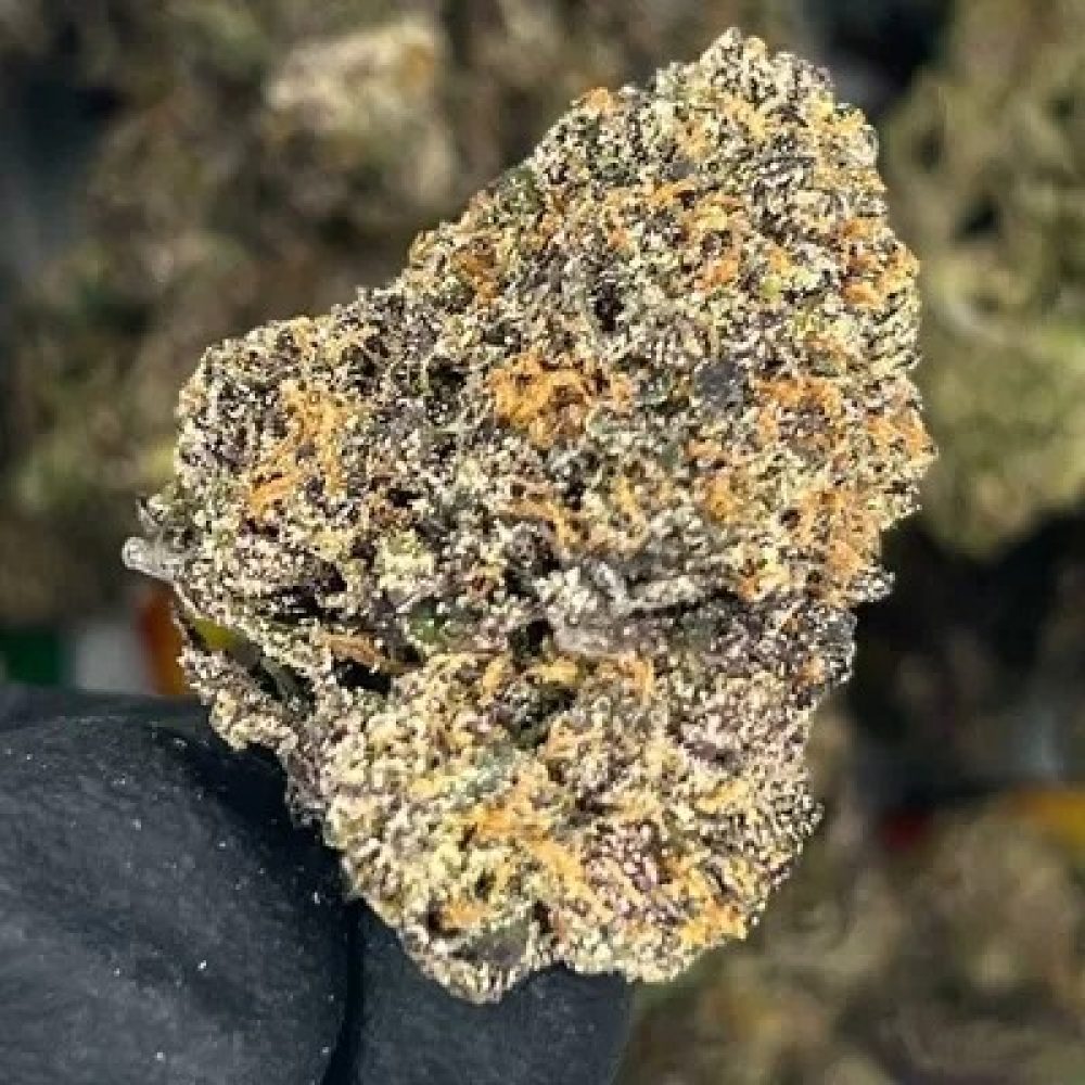 EXOTIC- BLUEBERRY LIMEAID
