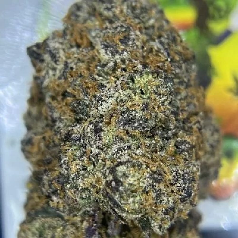 EXOTIC-PINK RUNTZ