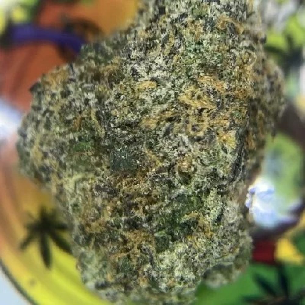 EXOTIC- RAINBOW NERDZ