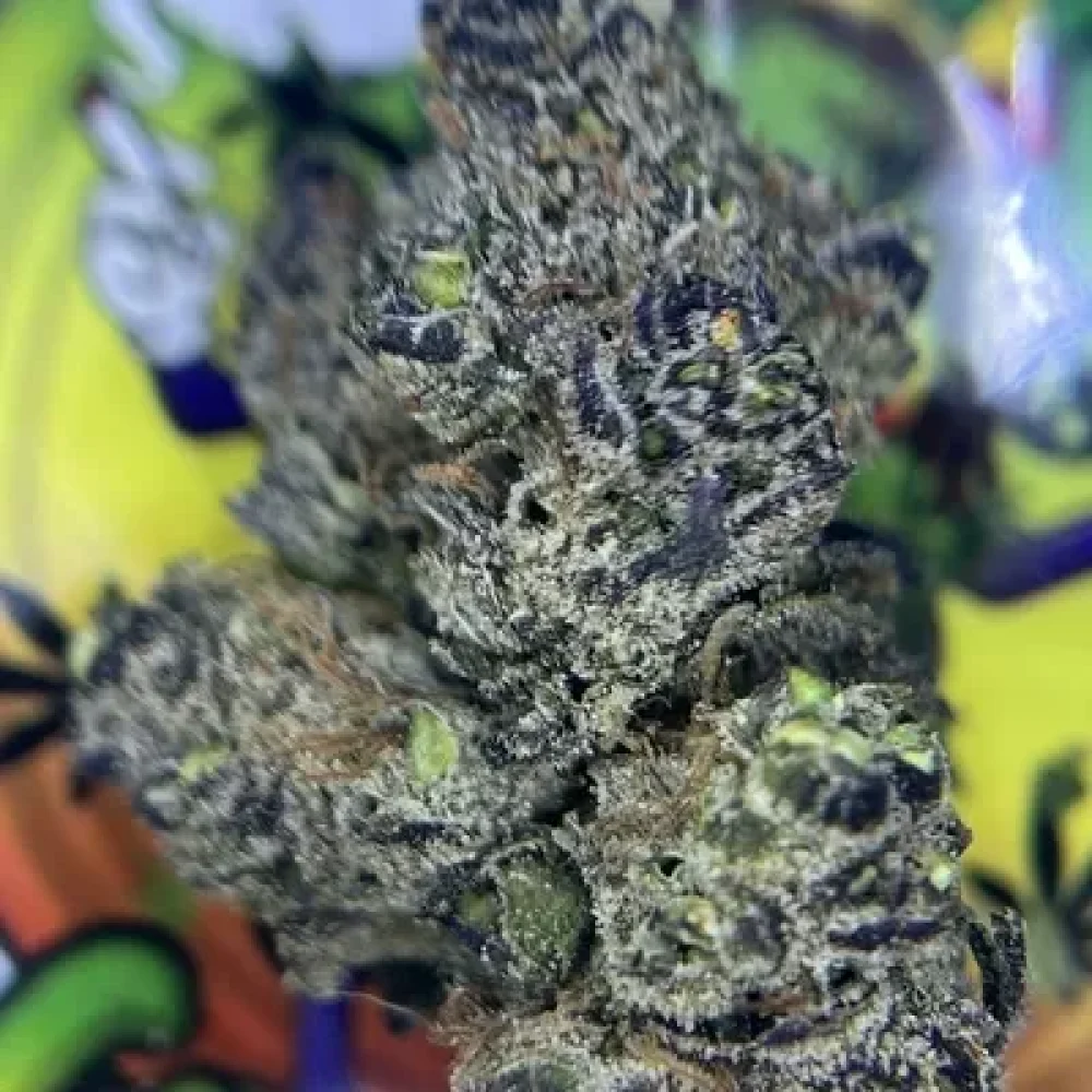 EXOTIC TROP CHERRY