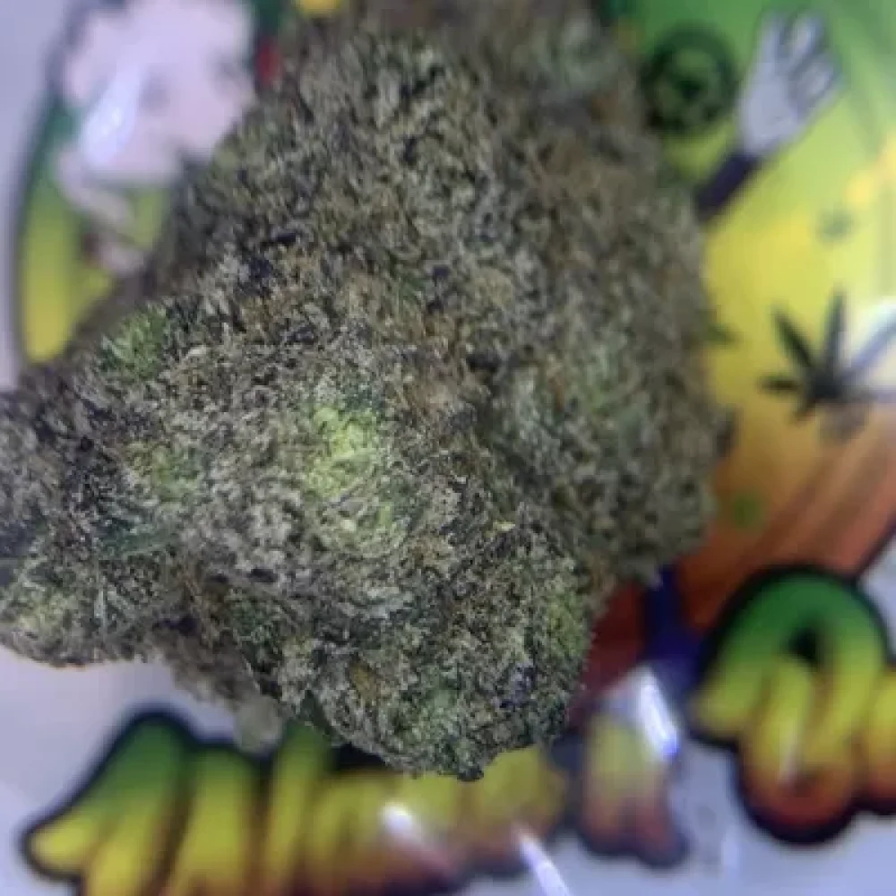 EXOTIC- UNICORN POOP