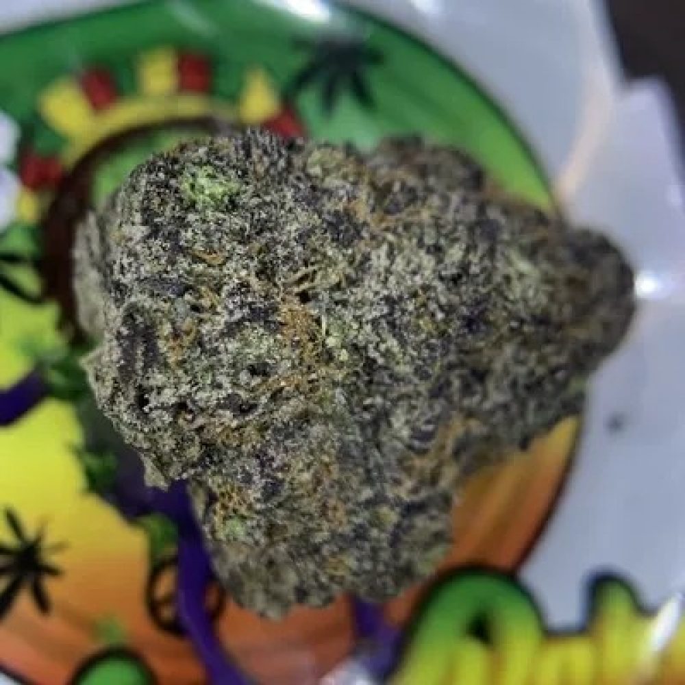 EXOTIC. CHERRY RUNTZ