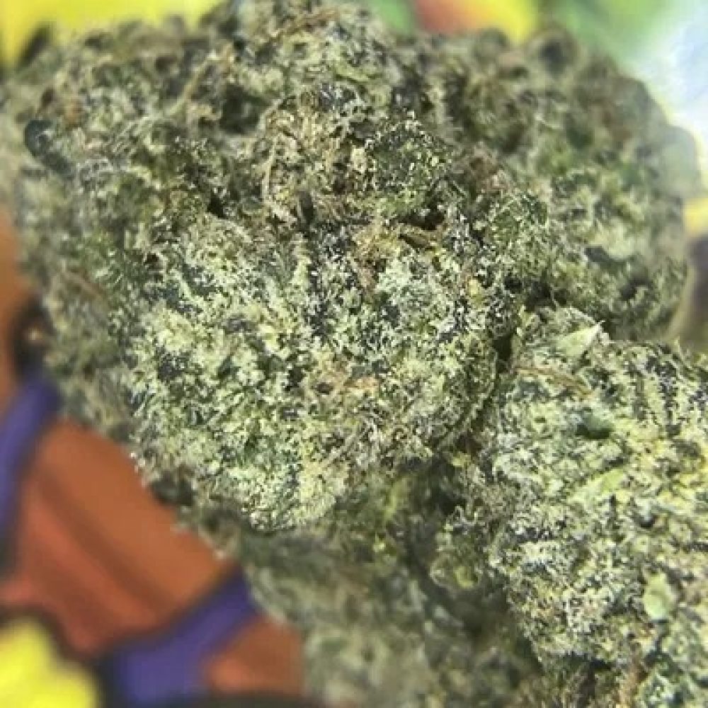 JELLY RANCHER (RESERVE)