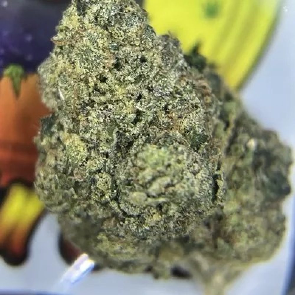JET FUEL GELATO (RESERVE)
