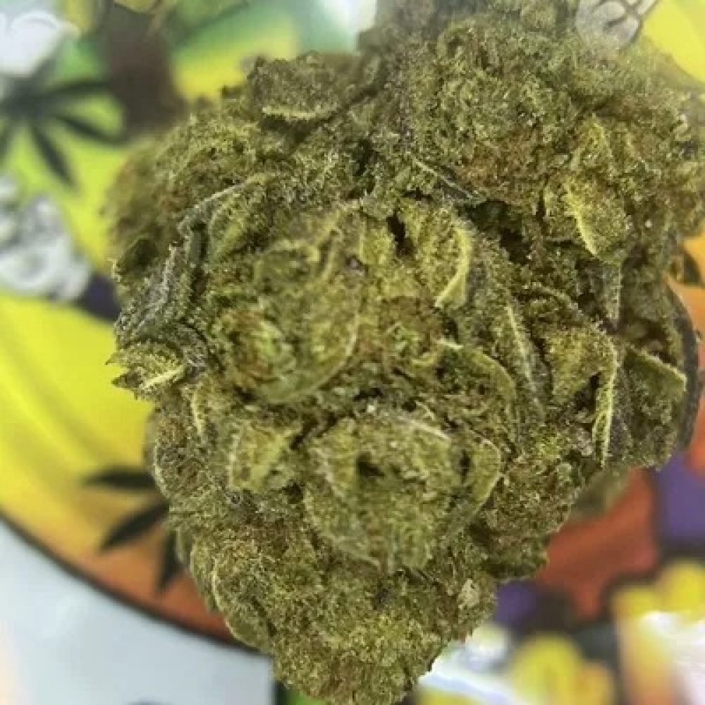 PREMIUM- CACTUS BREATH