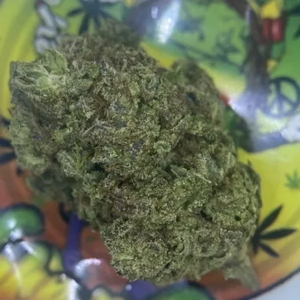 PREMIUM- LEMON PIE