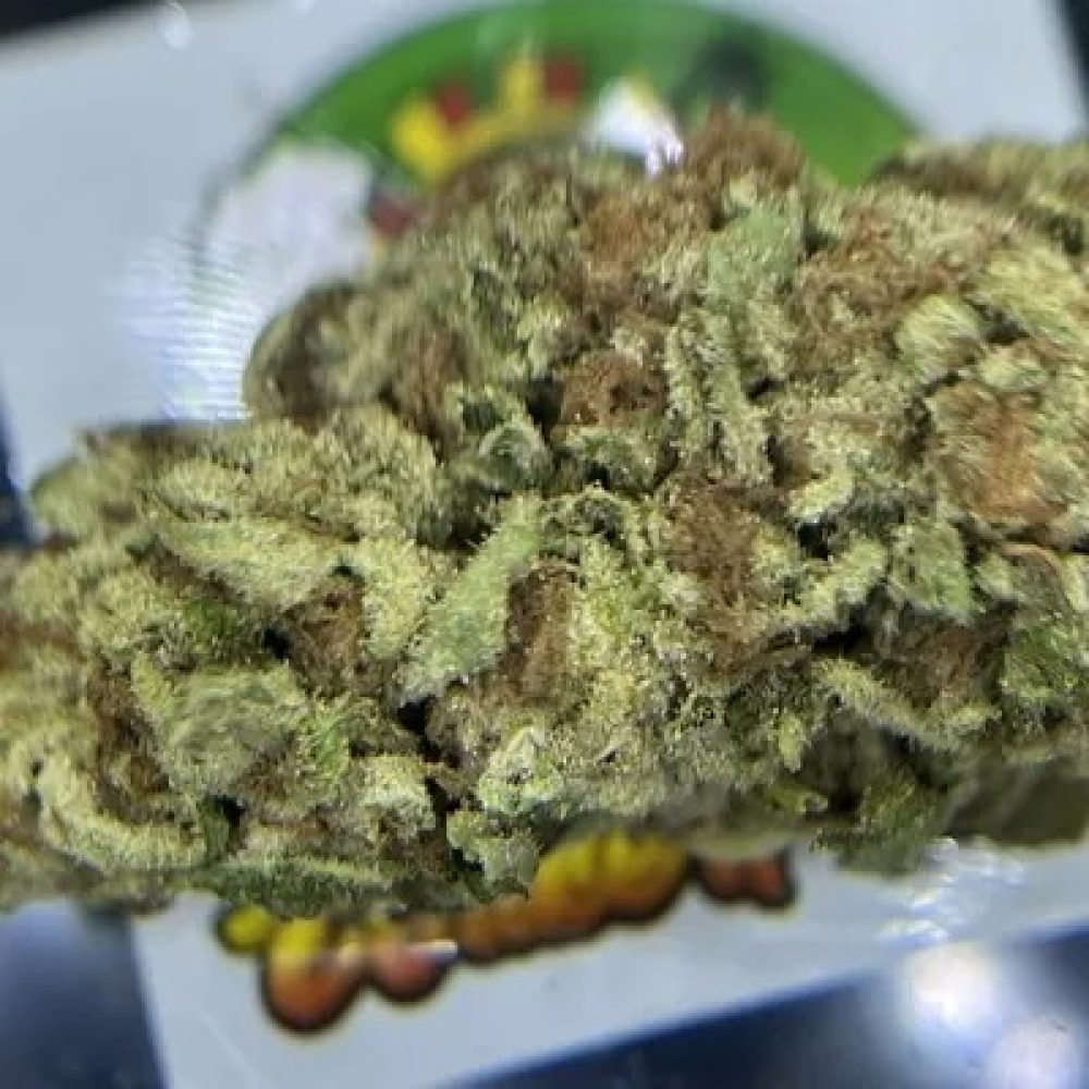 PREMIUM- ORANGE CRUSH