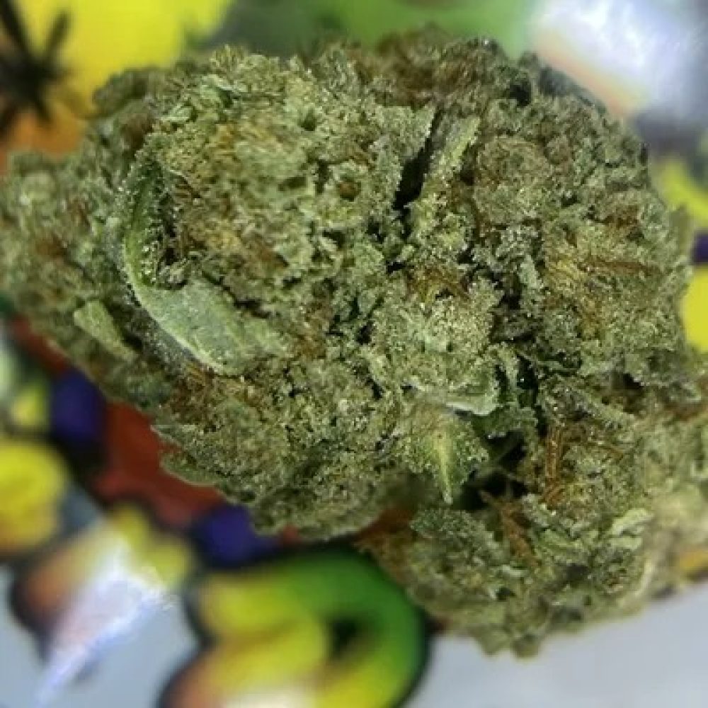 PREMIUM. APPLE PIE