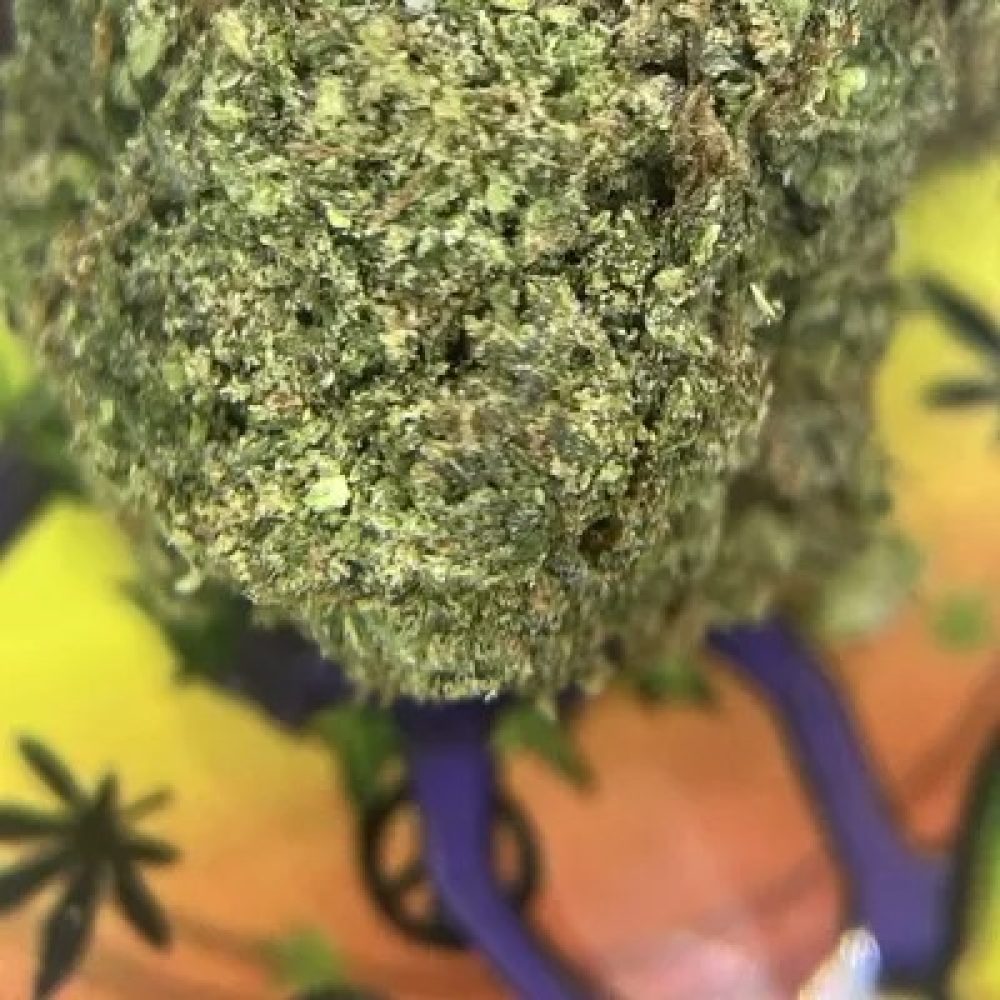 PREMIUM. LEMON DROP