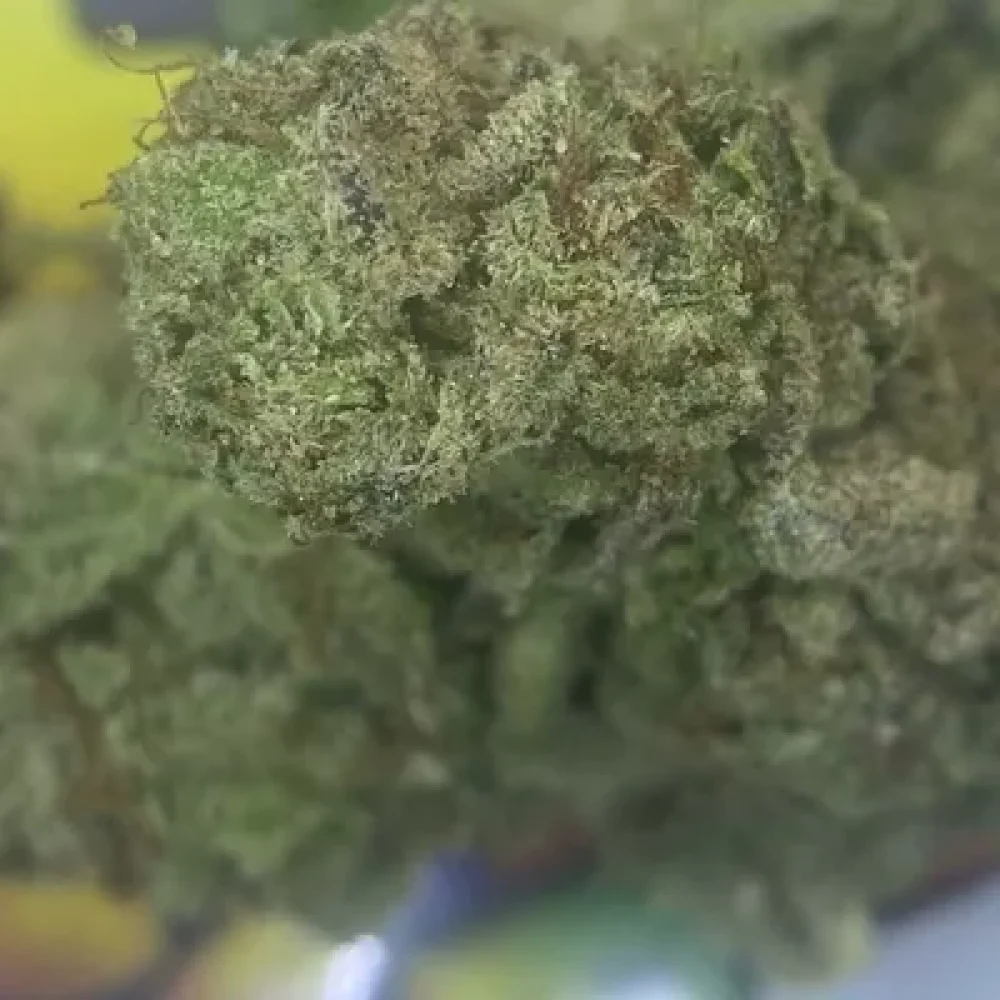PREMIUM. LUCKY CHARM