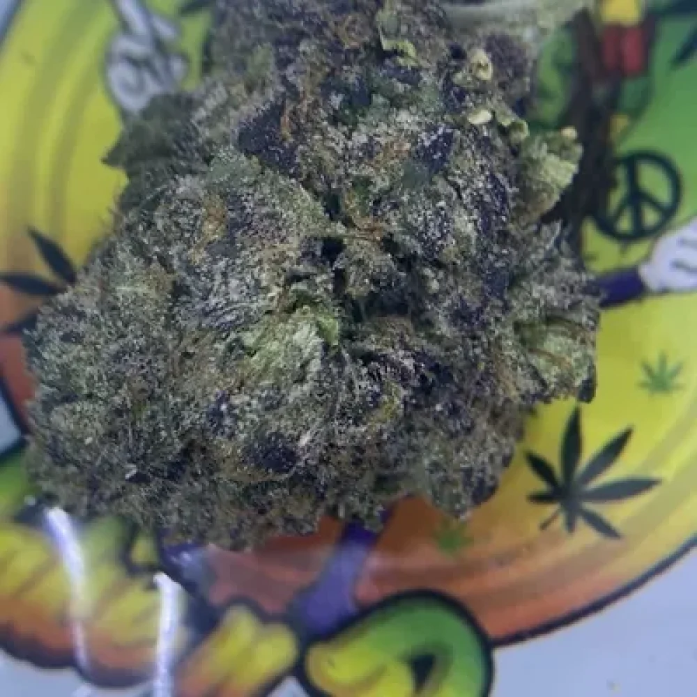 TOP SHELF ZEBRA CAKE
