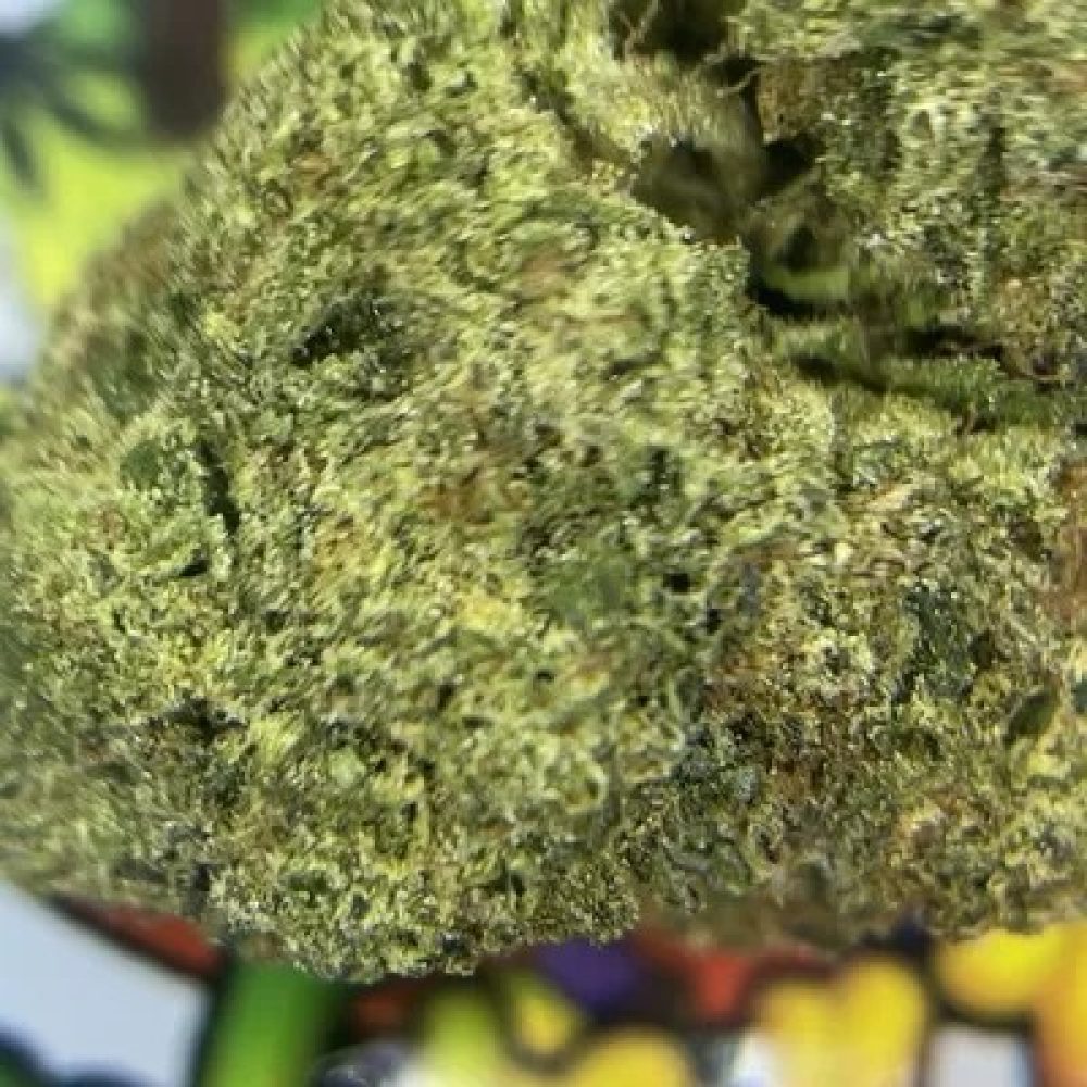 TOP SHELF. HI-C