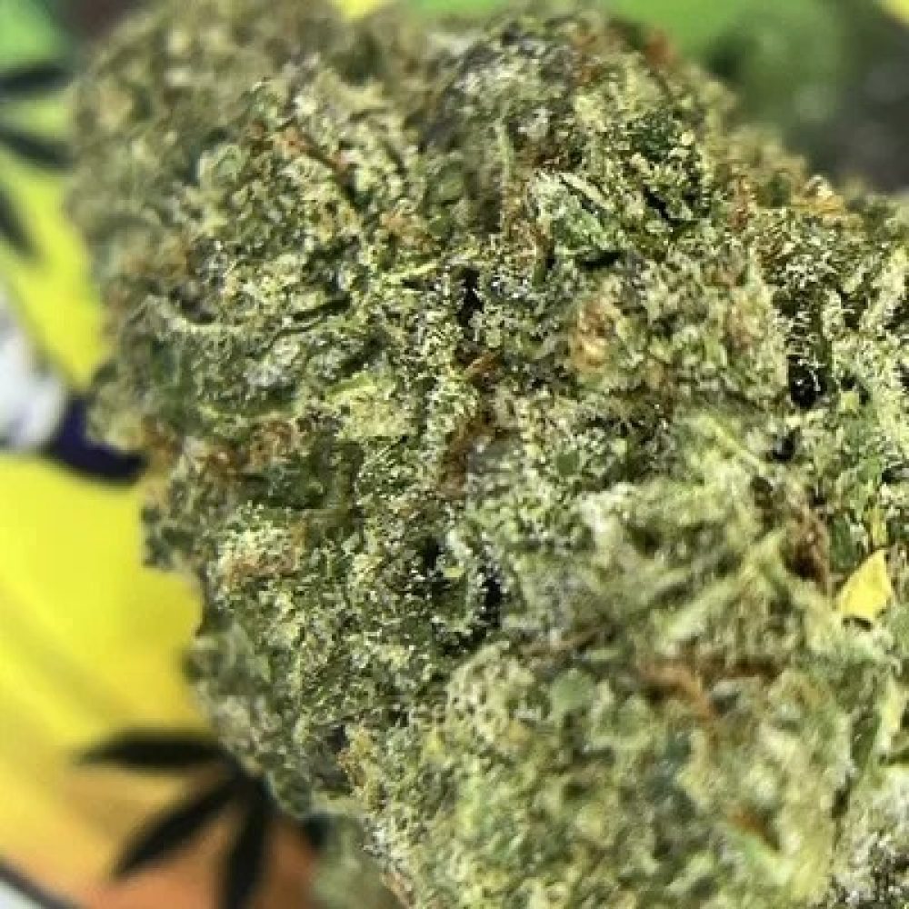 TOPSHELF- CANDYLAND