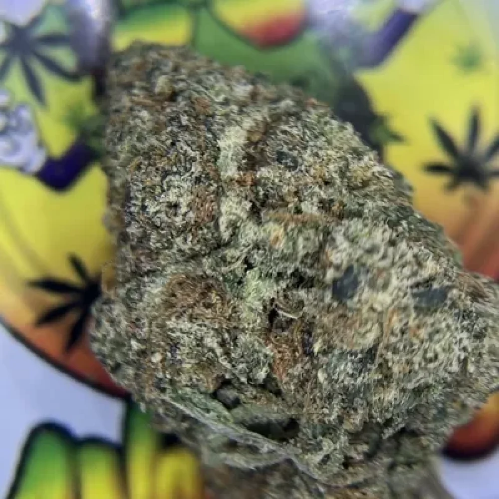 TOPSHELF- FORBIDDEN FRUIT