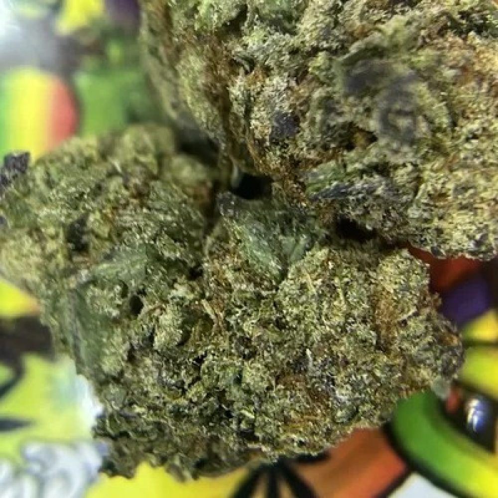 TOPSHELF- GALATIC JACK