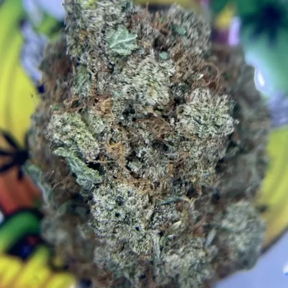 TOPSHELF- GORILLA BUTTER