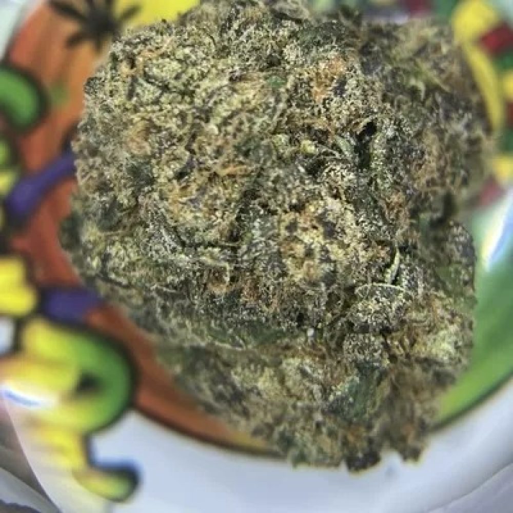 TOPSHELF- WARHEADZ