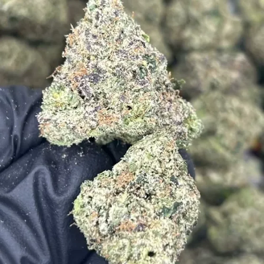 WONKA RUNTZ (WAKE N BAKE RESERVE)