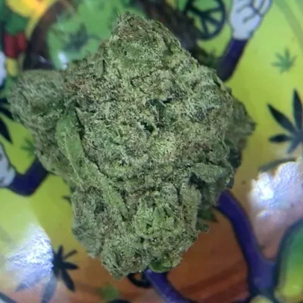 blueberrymuffin