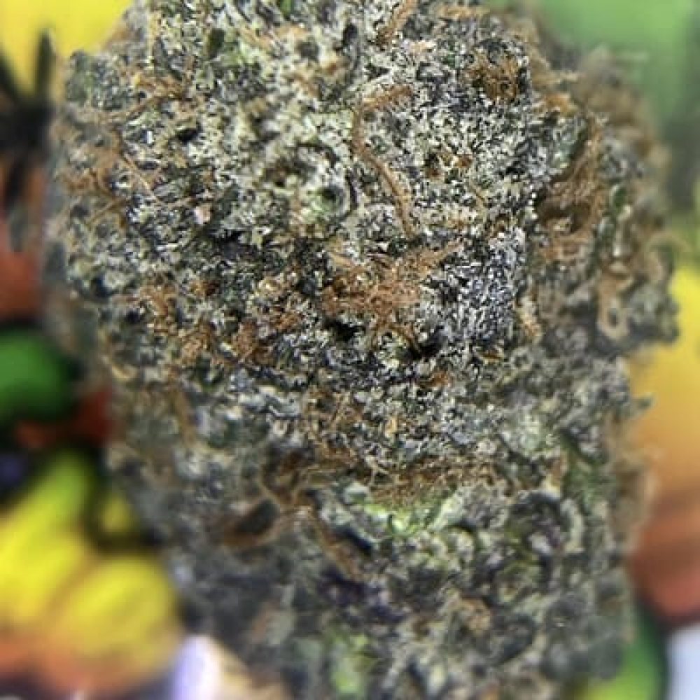 candyland2