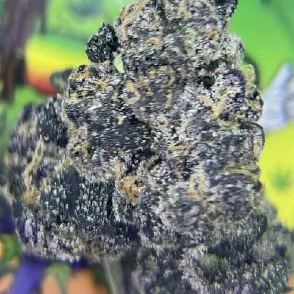 marshmellowog